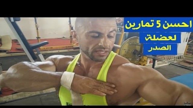 '5 Meilleurs exercices des pecs débutants / احسن 5 تمارين لتضخيم الصدر'