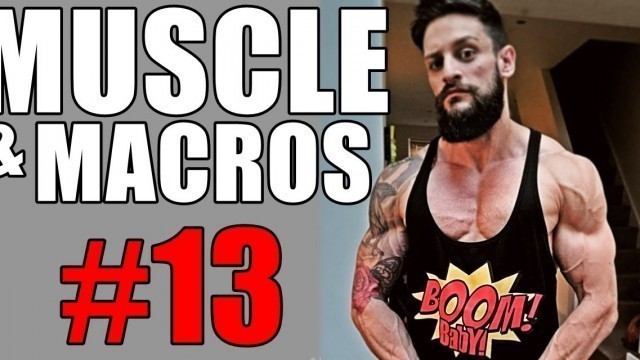 'LEX Muscle & Macros 13: Tricep Training,Protein Homemade Yogurt | Lex Fitness'