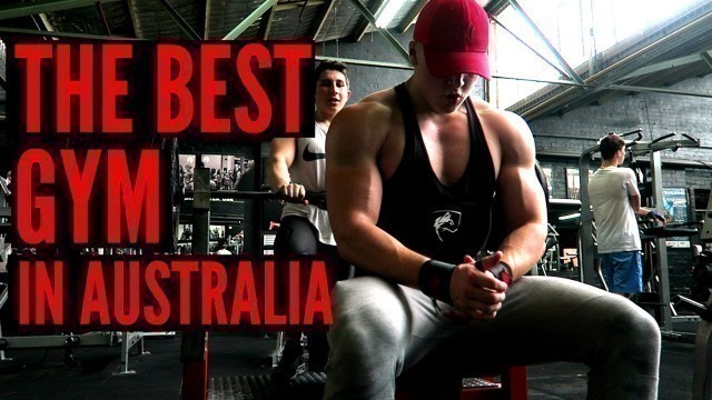 'THE BEST GYM IN AUSTRALIA | 160KG BENCH | VLOG 2'