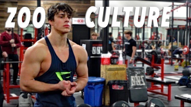 'TRAINING AT ZOO CULTURE GYM | Bradley Martyn sighting'