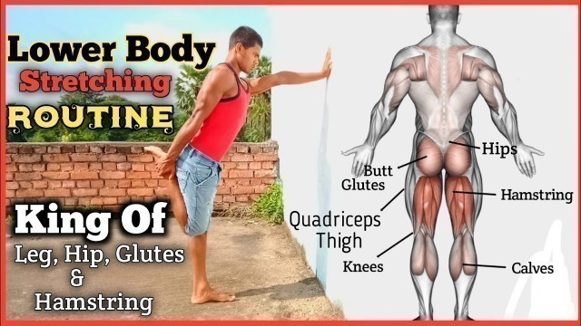 'LOWER BODY STRETCHING ROUTINE FOR FLEXIBILITY || Abhi Fitness || FITNESS BLENDER COOL DOWN STRETCHES'