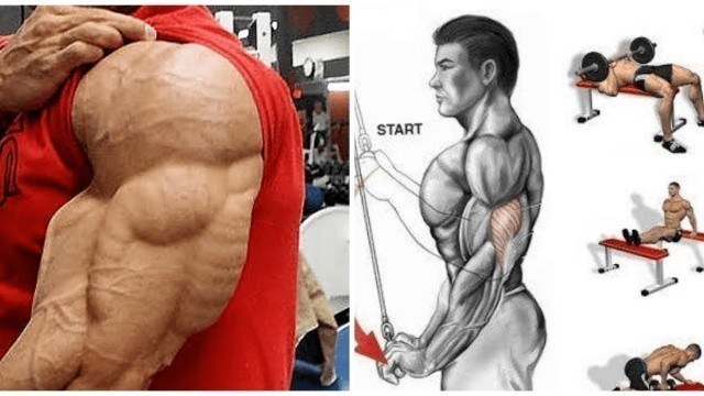 '8 best triceps exercices you never done/ musculation triceps.'