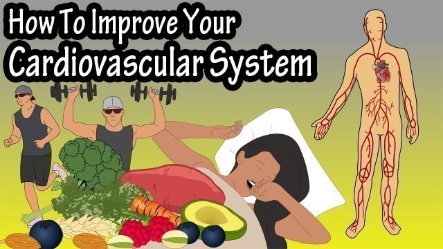 'How To Improve Increase Your Cardiovascular System, Heart Rate, Endurance, Stamina And Fitness'