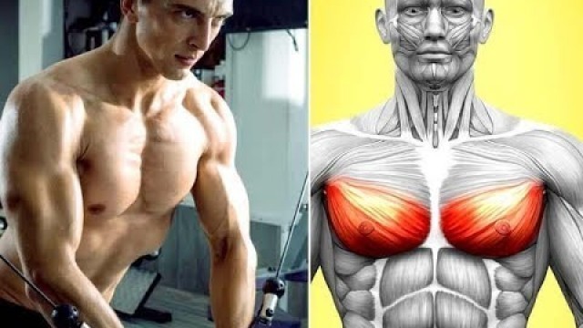 '7 BEST EXERCICES FOR LOWER CHEST/ BAS DES PECS'