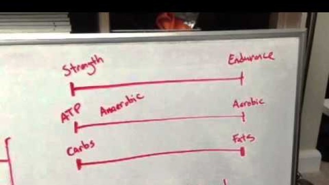 'Carb and Fat Usage During Exercise - Rob Medsger - 3STRONG'