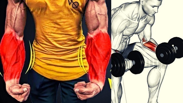 '5 BEST EXERCICES FOREARMS ( DUMBELLS ONLY ) / musculation avant -bras avec haltères'