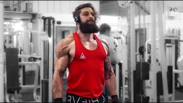 'HIGH VOLUME MUSCLE | Back Triceps Biceps TRAINING TUTORIAL | Lex Fitness'