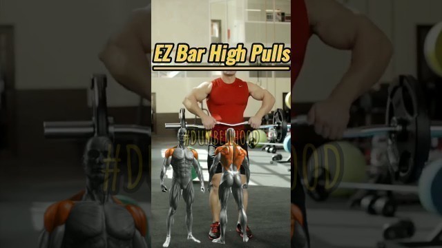 'Omuz Hareketi - How To Do Ez Bar High Pulls ? Orta Omuz veTrapez Kası Geliştirme Nasıl Yapılır ?'