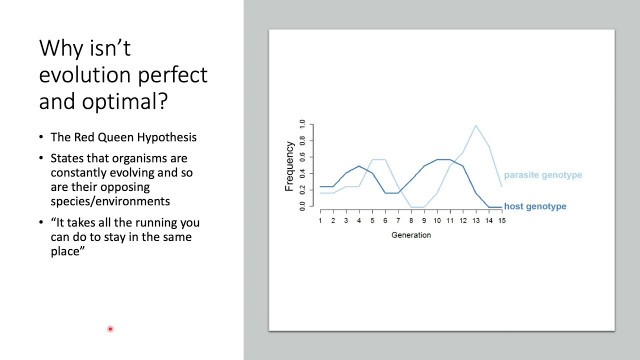 'Why is evolutionary design imperfect? Red Queen hypothesis, fitness landscapes, & Limitations'