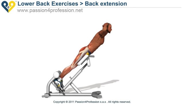 'Back extension   Hyperextension  lower back exercises'