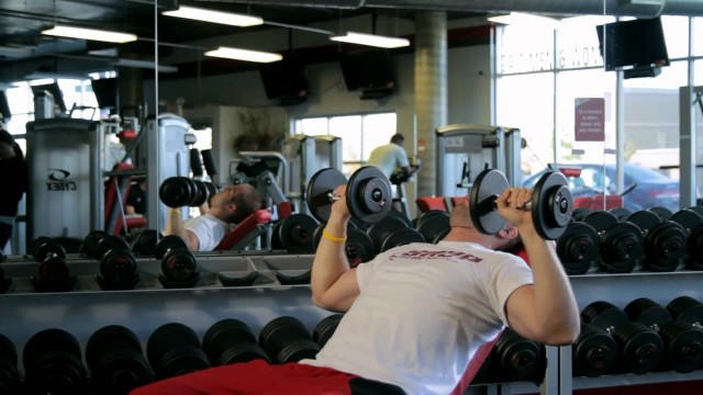 'Dumbbell Incline Press on Bench'